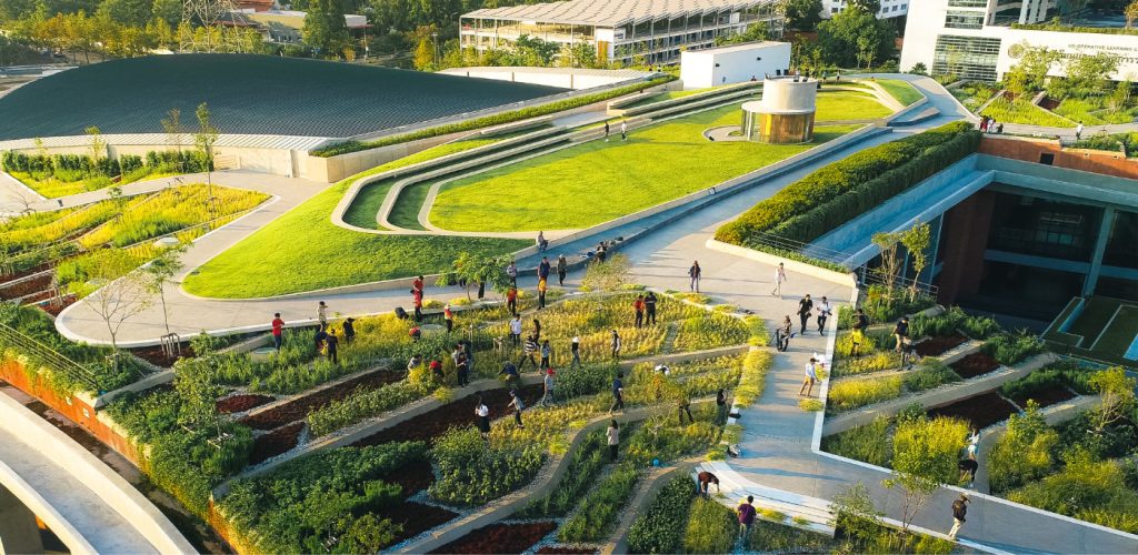 The Push for More Green Space in Urban Bangkok